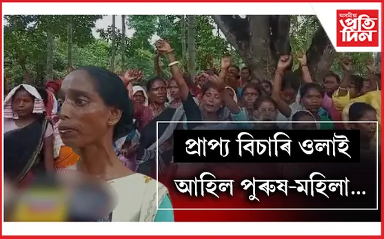 গোলাঘাটৰ ৰঙাজান চাহ বাগিচাত উতপ্ত পৰিস্থিতি... 